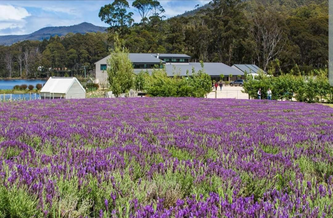 Ruby'S Cottage Farm Stay Port Arthur Exterior photo